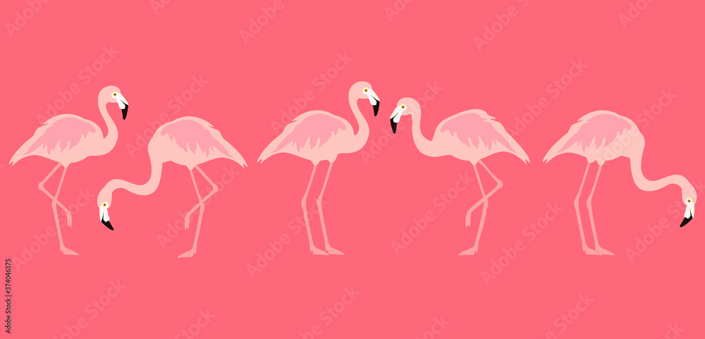 Obraz premium Flamingo tropical birds isolated on white background