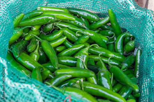 Obraz na płótnie Chiles Serranos