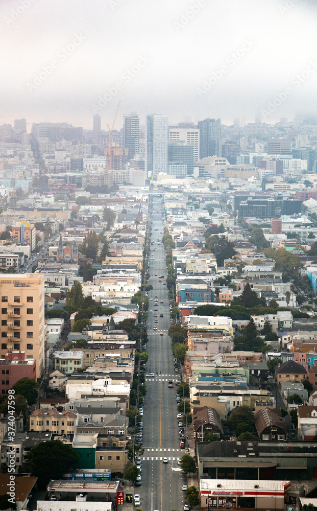 Fototapeta premium Photo