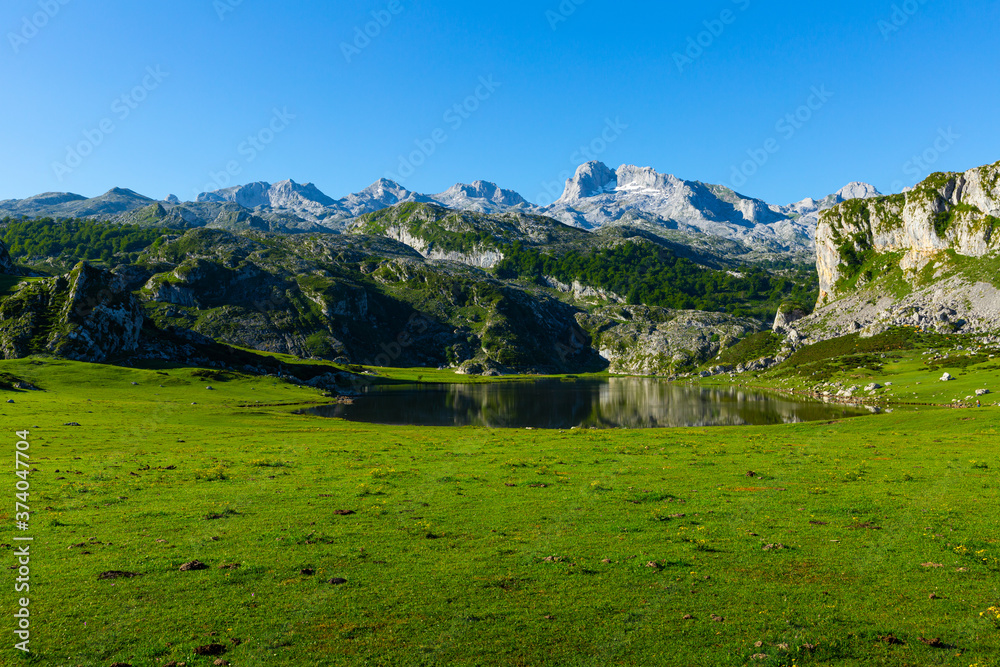 Serene summer mountain landscape with highland lake on sunny day, Covadonga, Asturias, Spain ..