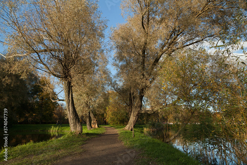 Autumn park landscape with bright trees