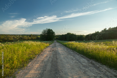 Dirty road in summer green field