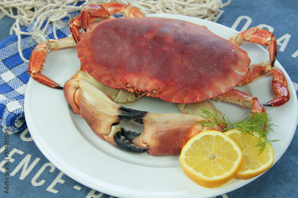 crabe entier cuit dans une assiette crabe entier cuit dans une assiette
