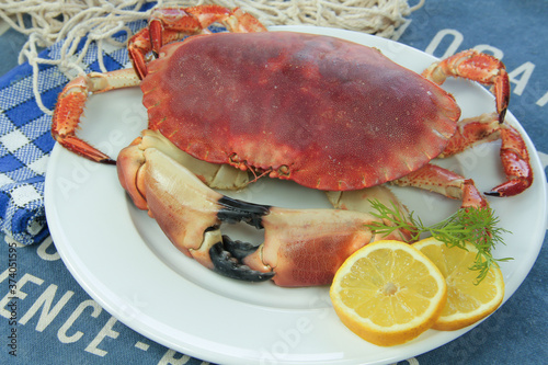 crabe entier cuit dans une assiette