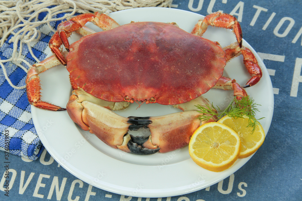 crabe entier cuit dans une assiette crabe entier cuit dans une assiette