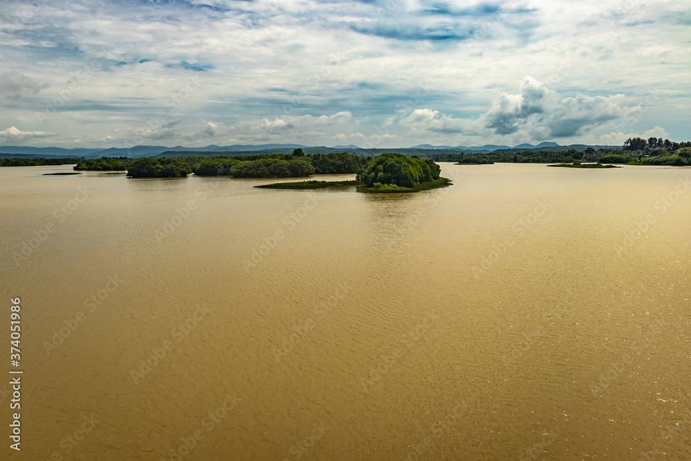 Fototapeta premium sea backwater with mangrove forest and bright sky