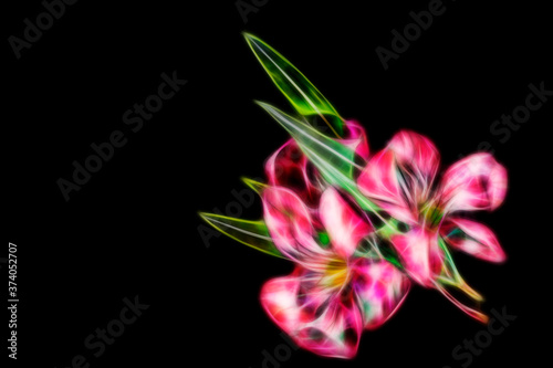 Abstract fractal background with oleander flowers