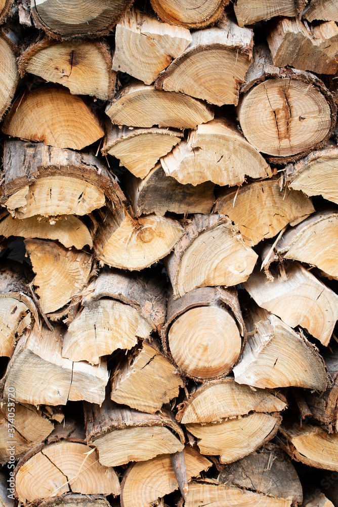 front on shot of cut wood for winter fire in Tasmania front on shot of cut wood for winter fire in Tasmania