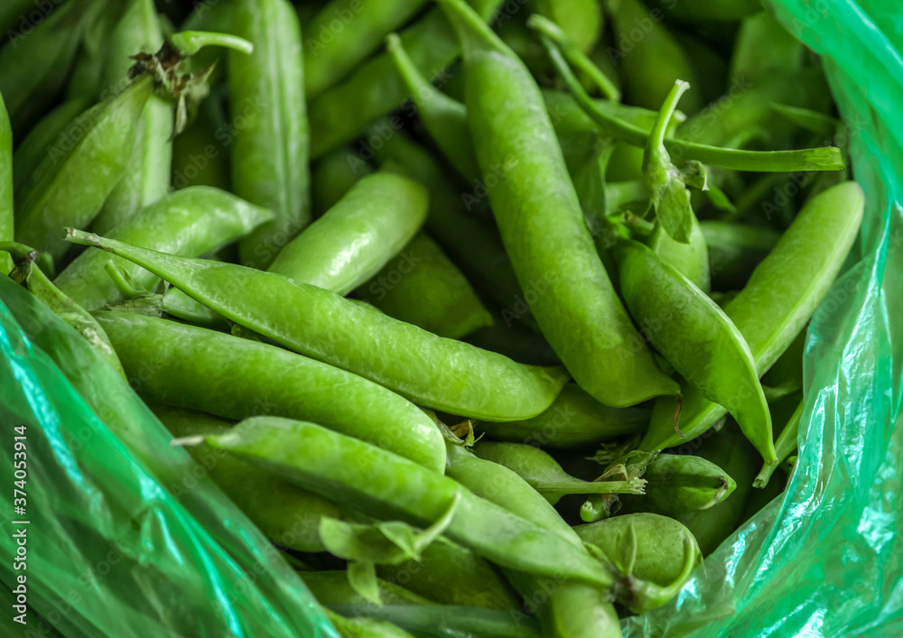 lots of green pods of fresh peas in a bag lots of green pods of fresh peas in a bag