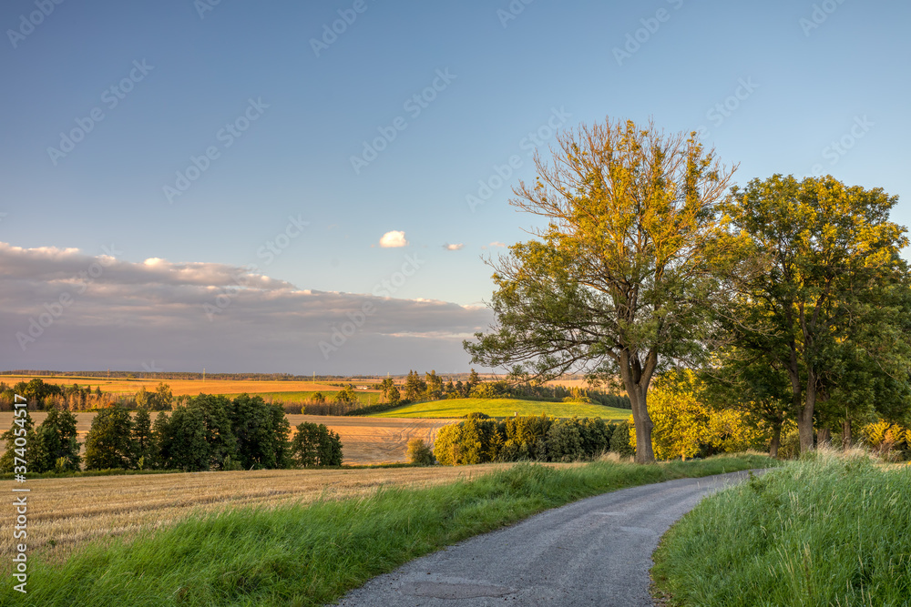 Hot summer day in the countryside. Yellow wheat field after harvest. Agricultural concept, landscape in highland, Vysocina Czech Republic