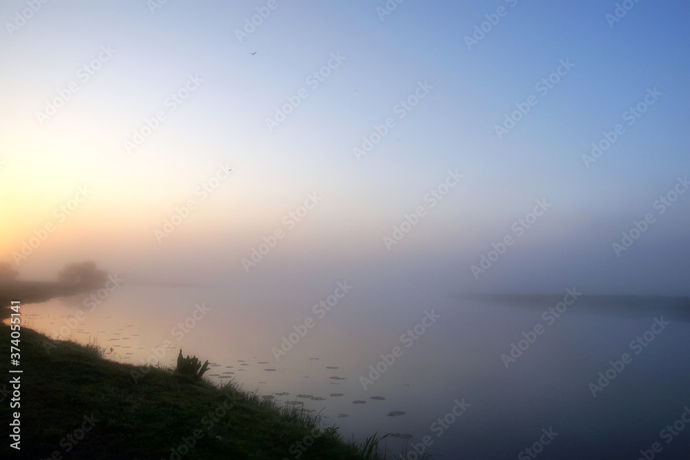 Spring sunrise, birds and fog over flooded meadows Spring sunrise, birds and fog over flooded meadows