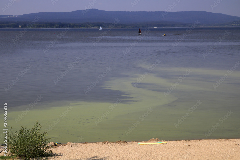 Algal bloom in Lipno lake, Czech Republic