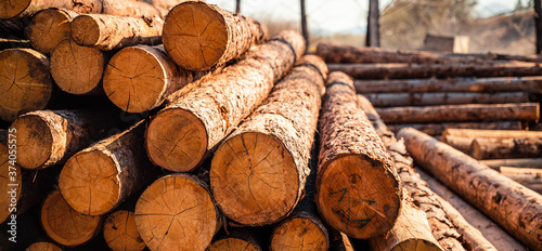 Photos Log spruce trunks pile
