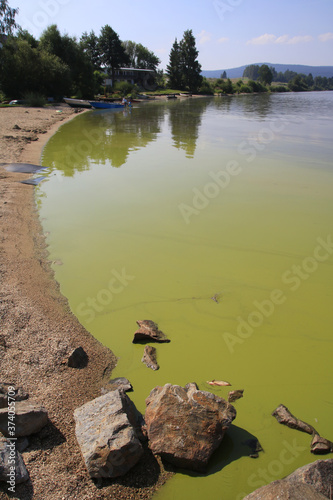 Obraz na płótnie Algal bloom in Lipno lake, Czech Republic w salonie