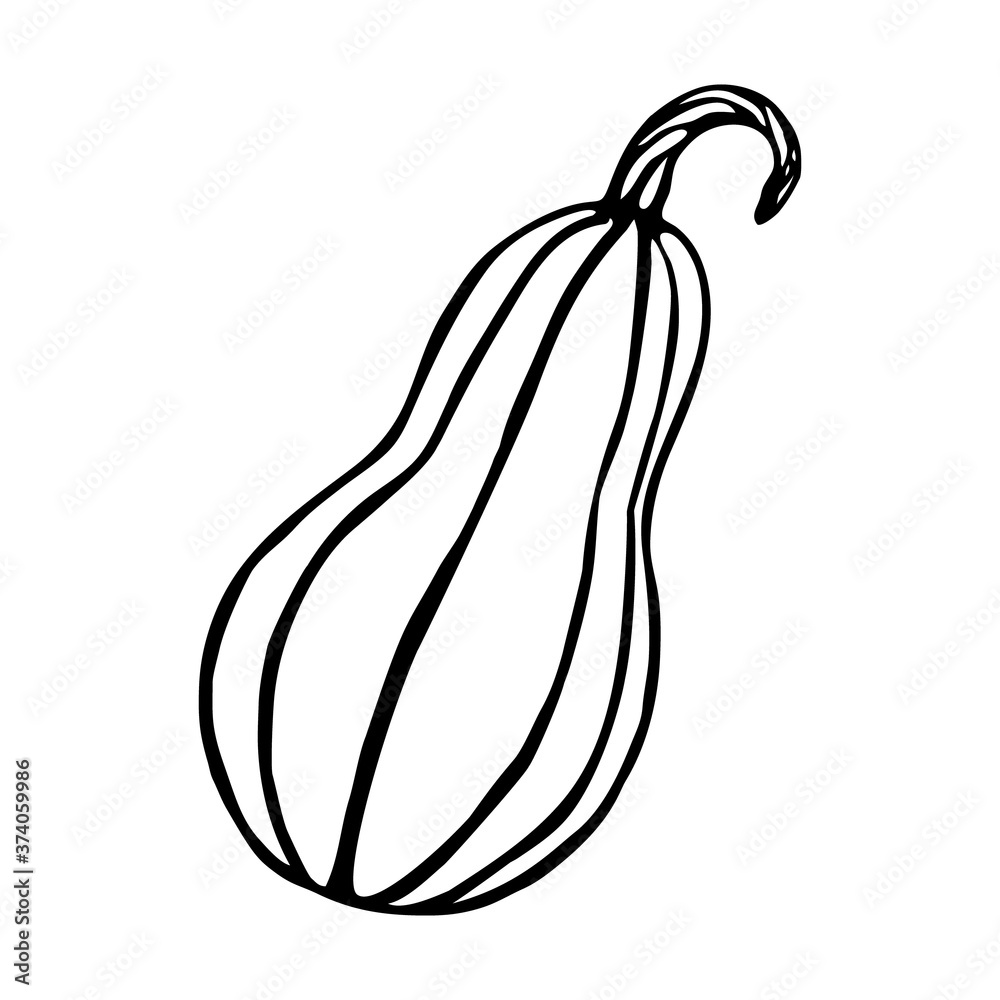 Doodle pumpkin. single element isolated on a white background Doodle pumpkin. single element isolated on a white background