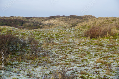 Cold ground with ice in National Park Zuid-Kennemerland (The Netherlands) © Jacoba