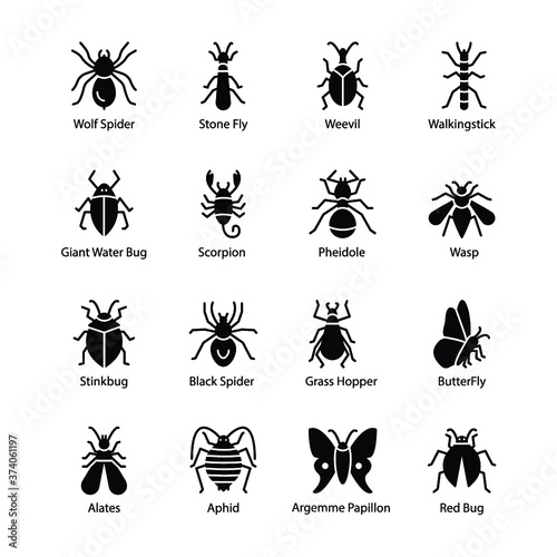 Insect And Bug Icons © Prosymbols