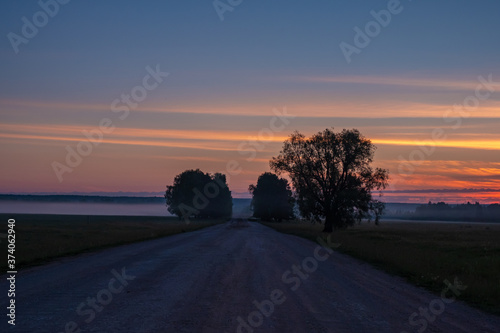 Dirt road deep in the forest. A sunset.