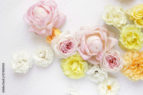 Fresh roses on white background  floral flowers blooming garden wedding pattern  pastel wallpaper fine art phopto  instagram flat lay commercial photography