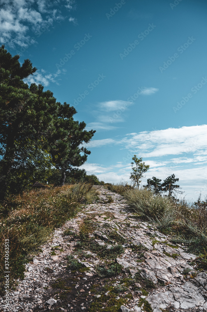 Hiking trail in summer mountains. Blue sky in background.