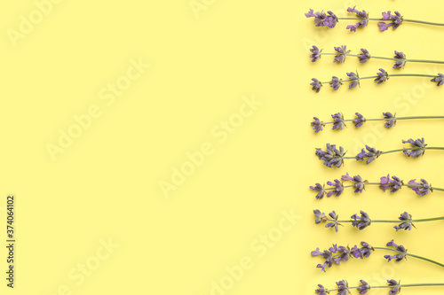 Beautiful lavender flowers on yellow background, flat lay. Space for text