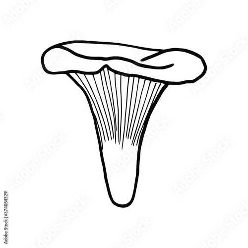 Mushroom. Contour isolated black-and-white drawing. 