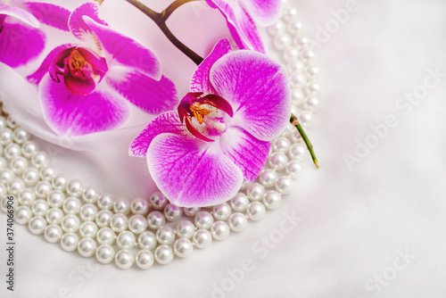 Fototapeta Naklejka Na Ścianę i Meble -  The branch of purple orchids on white fabric background
