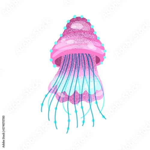 Bright pink jelly creature ocean or sea inhabitant vector flat illustration. ...