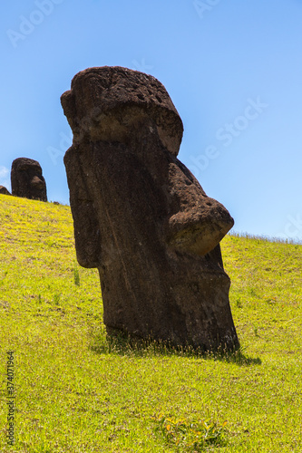 Moai statues in the Rano Raraku Volcano in Easter Island, Rapa Nui National Park, Chile photo