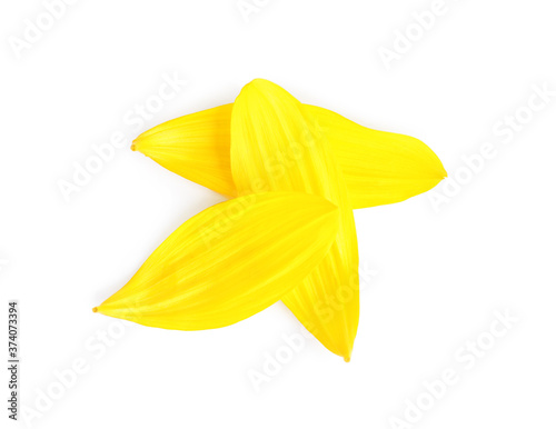 Fresh yellow sunflower petals isolated on white, top view