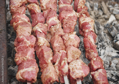 Barbecue on the coals. Grilled meat on a spit.