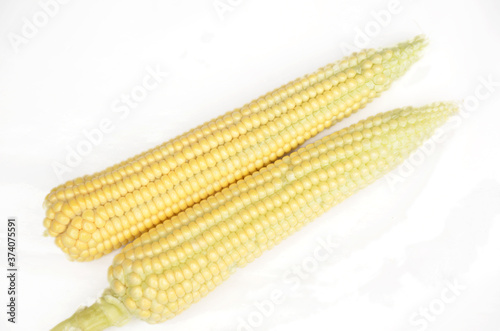 the ripe corncob with grain isolated on white background.