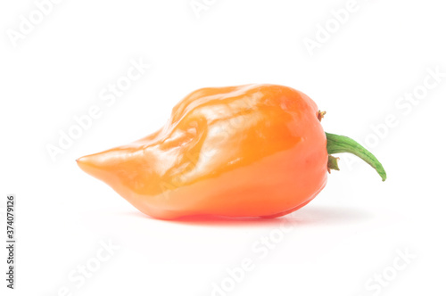 Habanero orange chili pepper isolated on white background