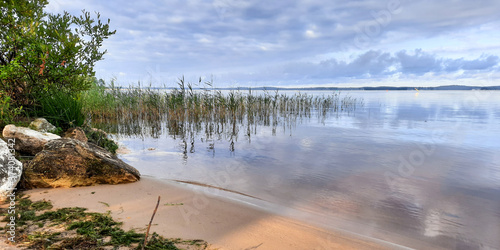 wild beach sandy coast in Biscarrosse lake in landes France photo