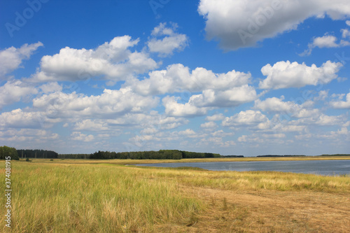 autumn landscape with lake and white fluffy clouds in the sky