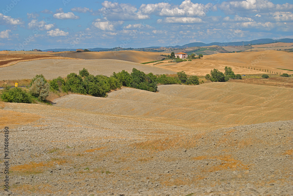 Fototapeta premium Campos la toscana