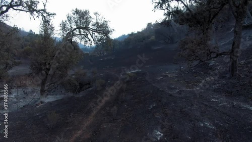 Napa, California, USA. 22 August 2020. Burnt out farmland & forest.  LNU Lightning Complex Fire that ravaged the Napa, Sonoma, Lake and Solano counties. photo