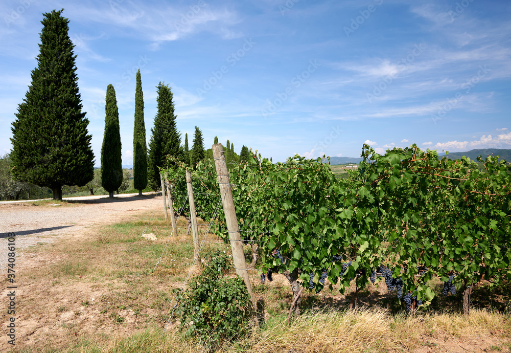 tuscany tuscany