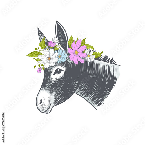 .Donkey in a wreath of flowers. Hand drawn realistic animal portrait. Vintage vector illustration..
