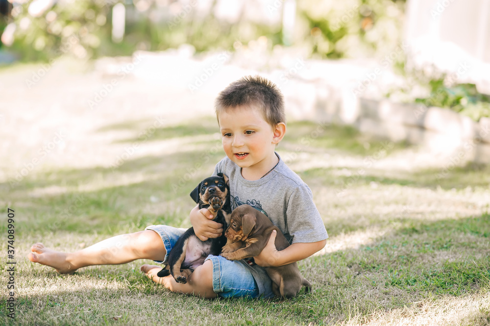 Cute little boy and two puppies sitting and playing on the grass in summer Cute little boy and two puppies sitting and playing on the grass in summer