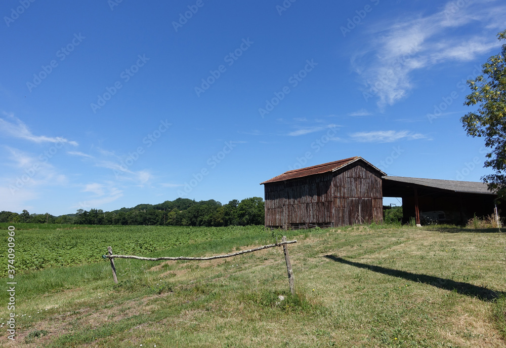 An old tobacco barn on the edge of a french field of early sunflowers An old tobacco barn on the edge of a french field of early sunflowers