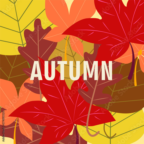 Autumn background with fallen leaves. Colorful seasonal template