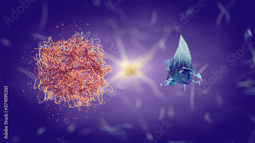 Beta-amyloid protein/Amyloid plaque and Tau protein aggregate/Neurofibrillary tangle are primary markers for Alzheimer's disease