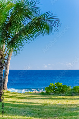 tropical beach with palm trees, Grand’Anse, Reunion island 