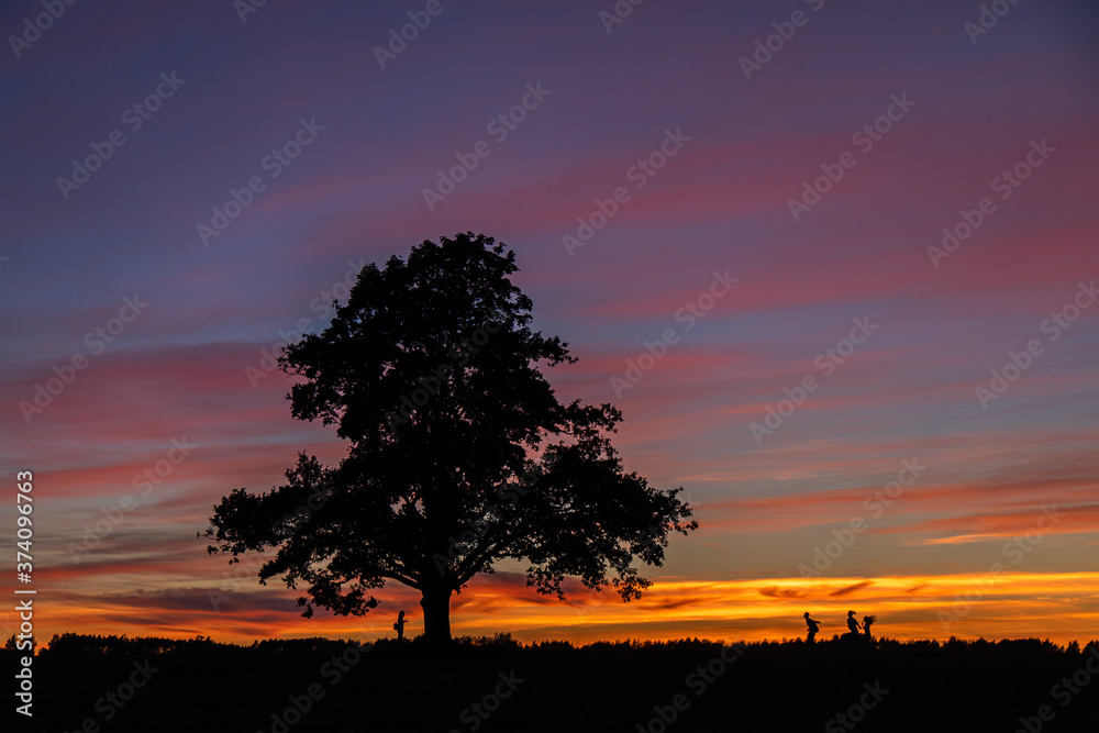 Silhouettes of running people and a branchy tree against the backdrop of colorful sunset clouds