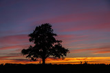 Silhouettes of running people and a branchy tree against the backdrop of colorful sunset clouds
