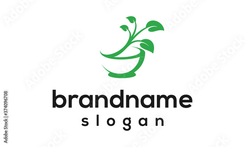 leaf pharmacy logo design vector