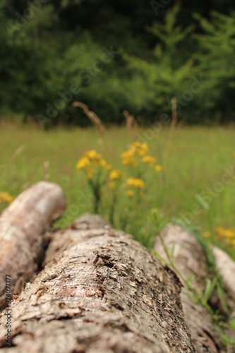 Stacked wood with a yellow flower 