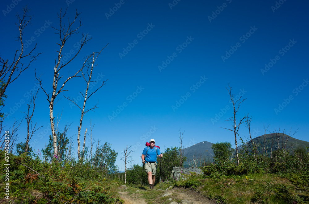 Obraz premium Hiking in Sweden in summer. Happy man traveler trekking alone in Abisko National Park in northern Sweden. Arctic nature of Scandinavia in warm sunny day with blue sky