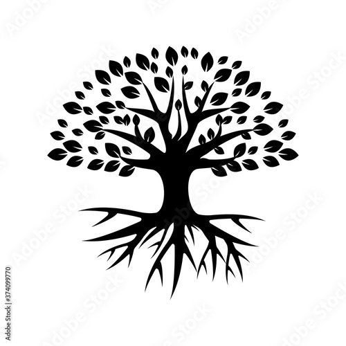 Nature Tree And Root Icons Vector, Logo Icons, Tree Icons, Template Icons with Transparent Background.